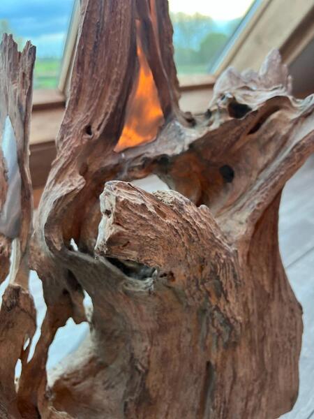 Sculptuur van driftwood